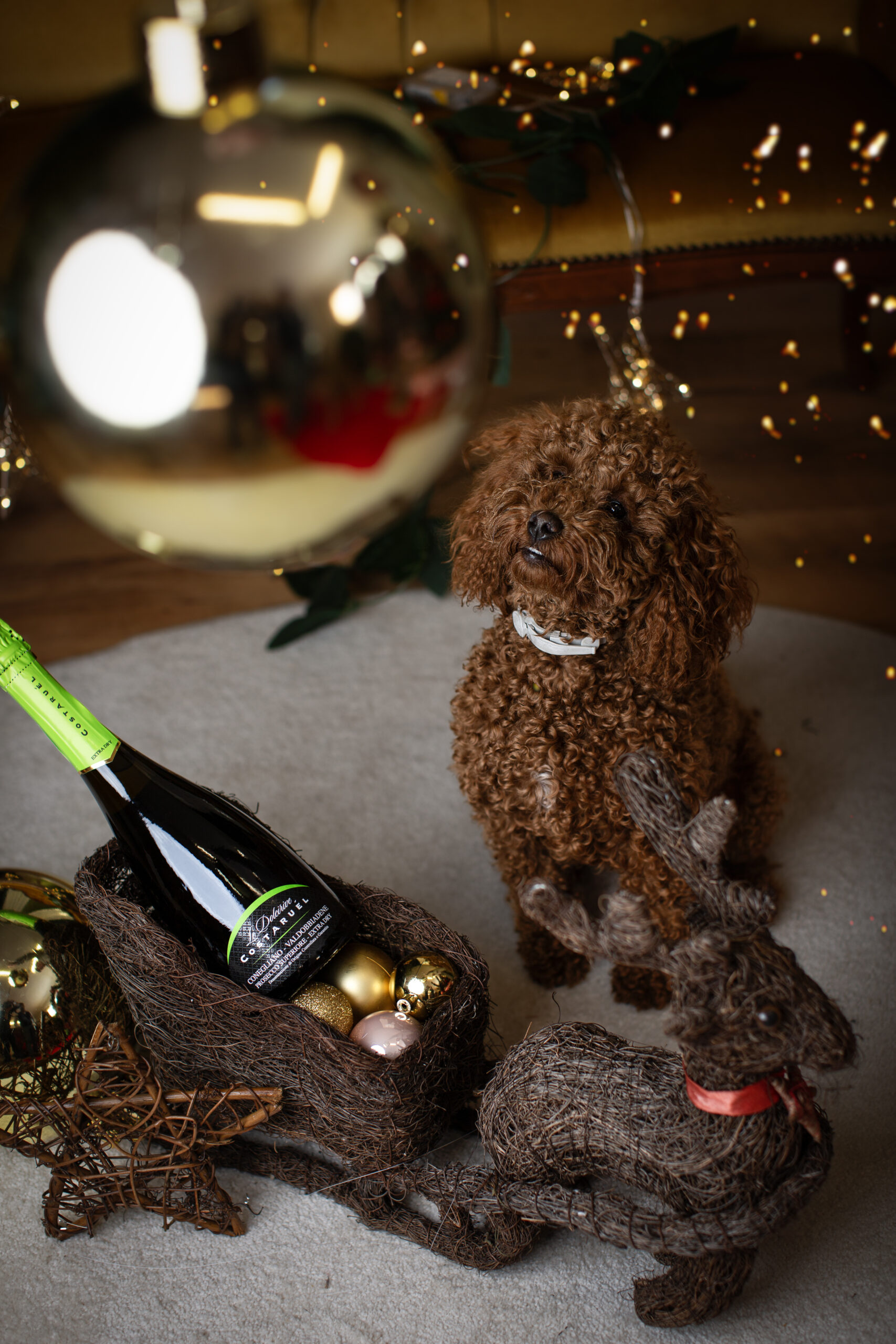 Christmas Photography